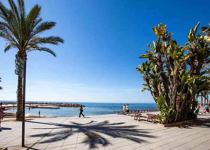 Apartment Penthouse Duplex-torrevieja, Close To The *